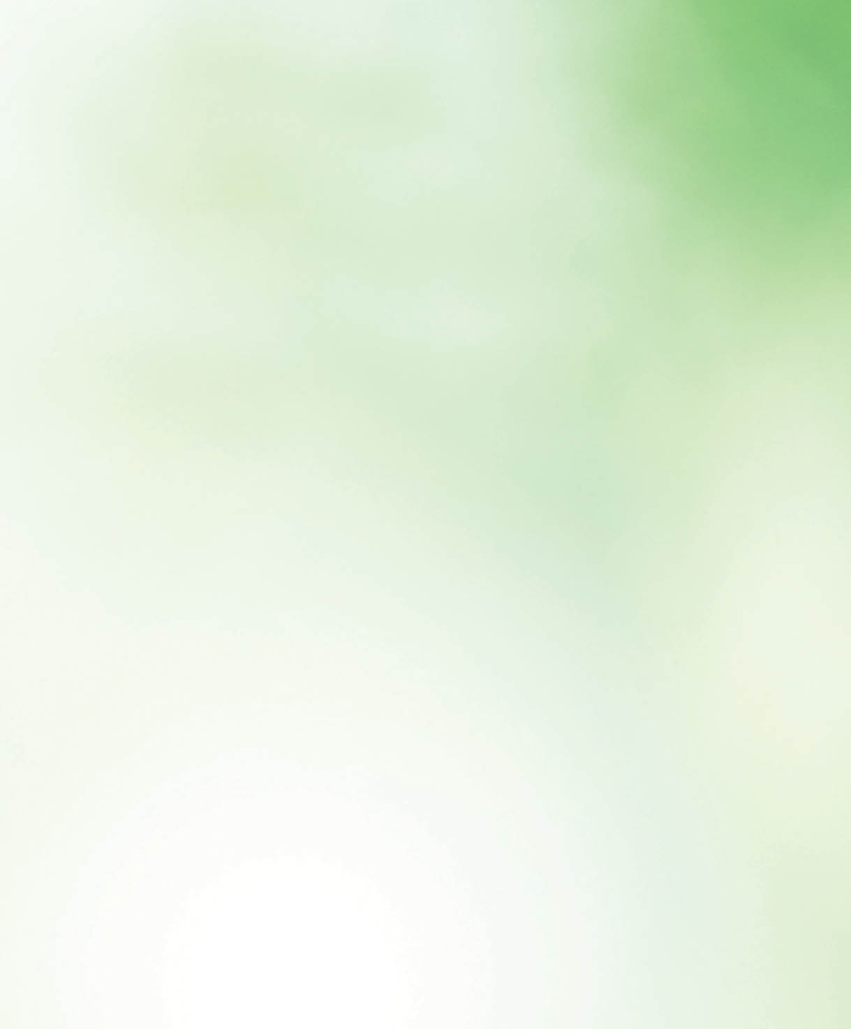 Green leaves blur and blurred light bokeh. Abstract background and beautiful backdrop.