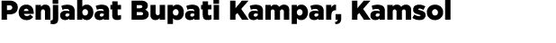 Penjabat Bupati Kampar, Kamsol 