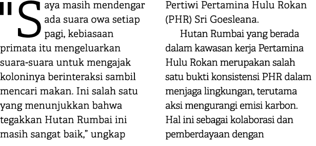 \“Saya masih mendengar ada suara owa setiap pagi, kebiasaan primata itu mengeluarkan suara suara untuk mengajak kolon...