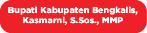 Bupati Kabupaten Bengkalis, Kasmarni, S.Sos., MM