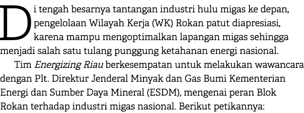 Di tengah besarnya tantangan industri hulu migas ke depan, pengelolaan Wilayah Kerja (WK) Rokan patut diapresiasi, ka...