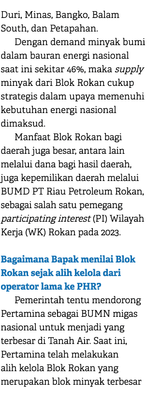Duri, Minas, Bangko, Balam South, dan Petapahan. Dengan demand minyak bumi dalam bauran energi nasional saat ini seki...