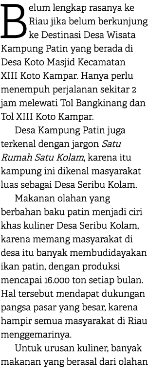 Belum lengkap rasanya ke Riau jika belum berkunjung ke Destinasi Desa Wisata Kampung Patin yang berada di Desa Koto M...